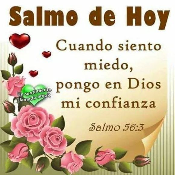 Meet your Posher, Myriam - Picture 1 of 1